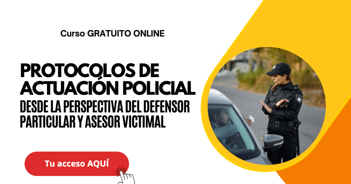 Protocolos De Actuaci N Policial Desde La Perspectiva Del Defensor