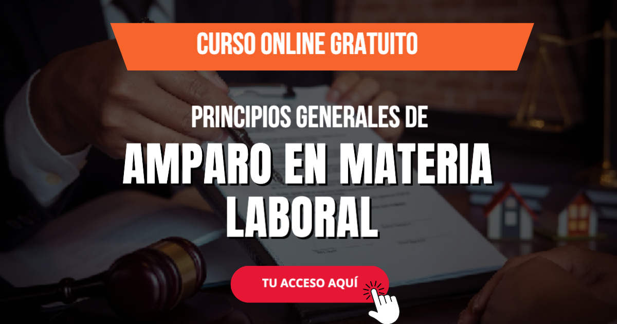 PRINCIPIOS GENERALES DE AMPARO EN MATERIA LABORAL